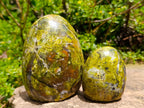 Polished Green Opal Standing Free Forms x 6 From Betroka, Madagascar - Toprock Gemstones and Minerals 