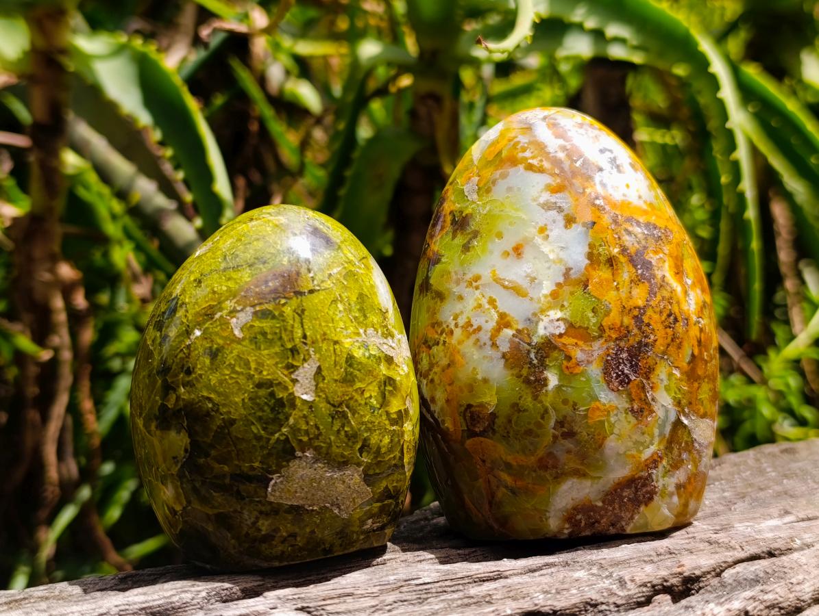 Polished Green Opal Standing Free Forms x 6 From Betroka, Madagascar - Toprock Gemstones and Minerals 