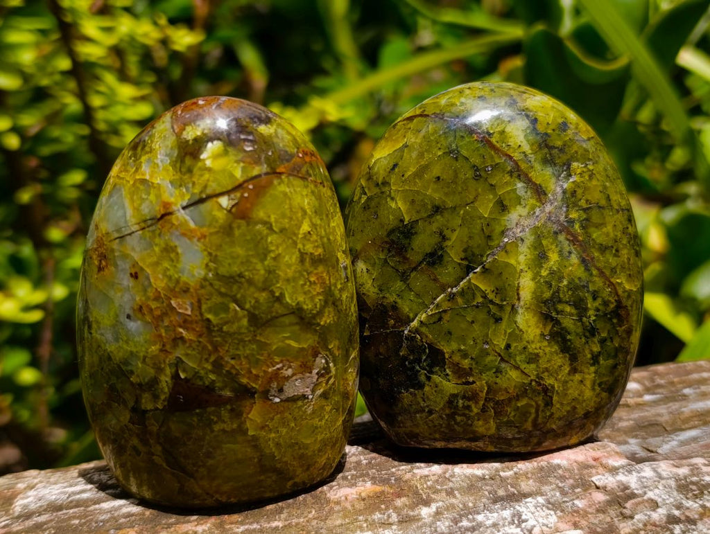 Polished Green Opal Standing Free Forms x 6 From Betroka, Madagascar - Toprock Gemstones and Minerals 