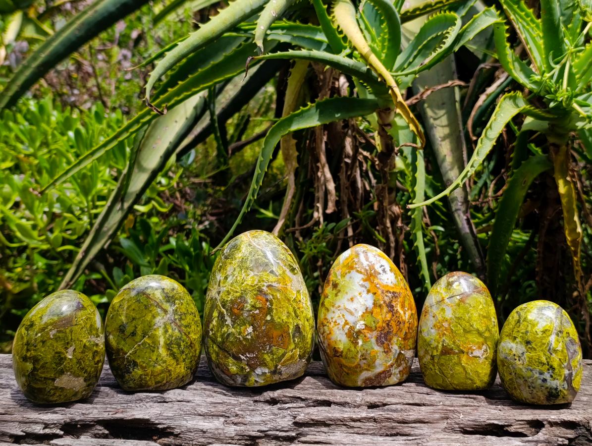 Polished Green Opal Standing Free Forms x 6 From Betroka, Madagascar - Toprock Gemstones and Minerals 
