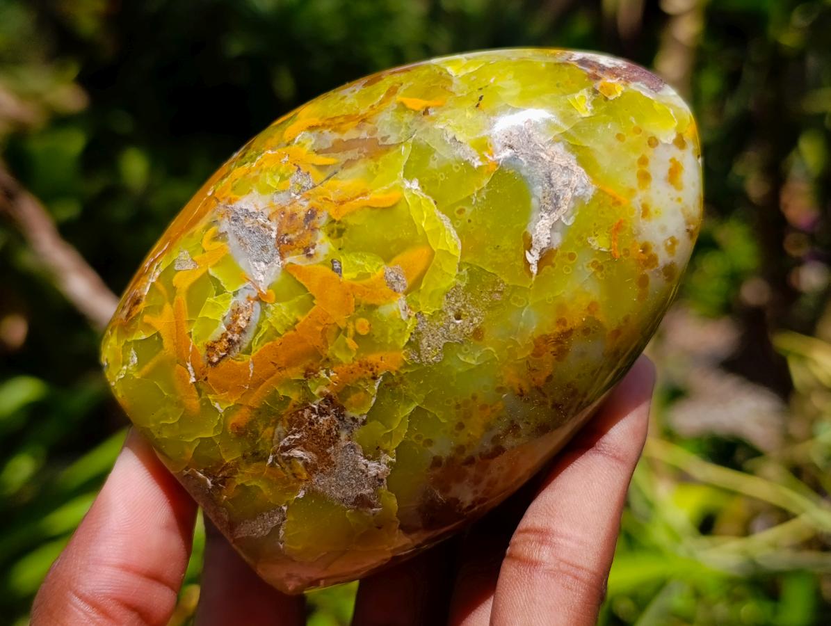 Polished Green Opal Standing Free Forms x 6 From Betroka, Madagascar - Toprock Gemstones and Minerals 
