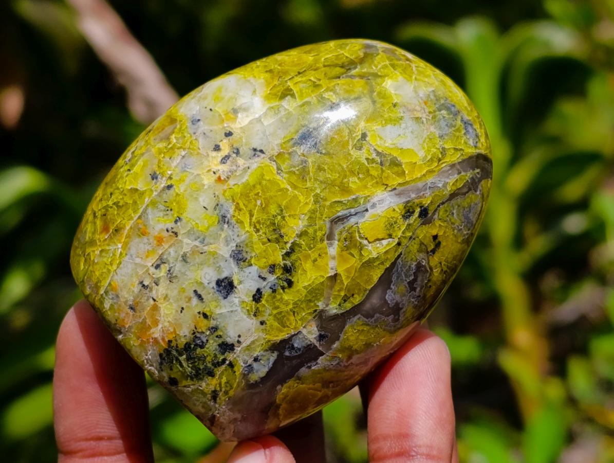 Polished Green Opal Standing Free Forms x 6 From Betroka, Madagascar - Toprock Gemstones and Minerals 