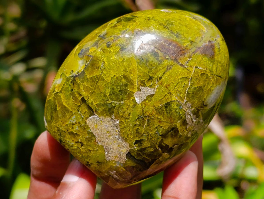 Polished Green Opal Standing Free Forms x 6 From Betroka, Madagascar - Toprock Gemstones and Minerals 