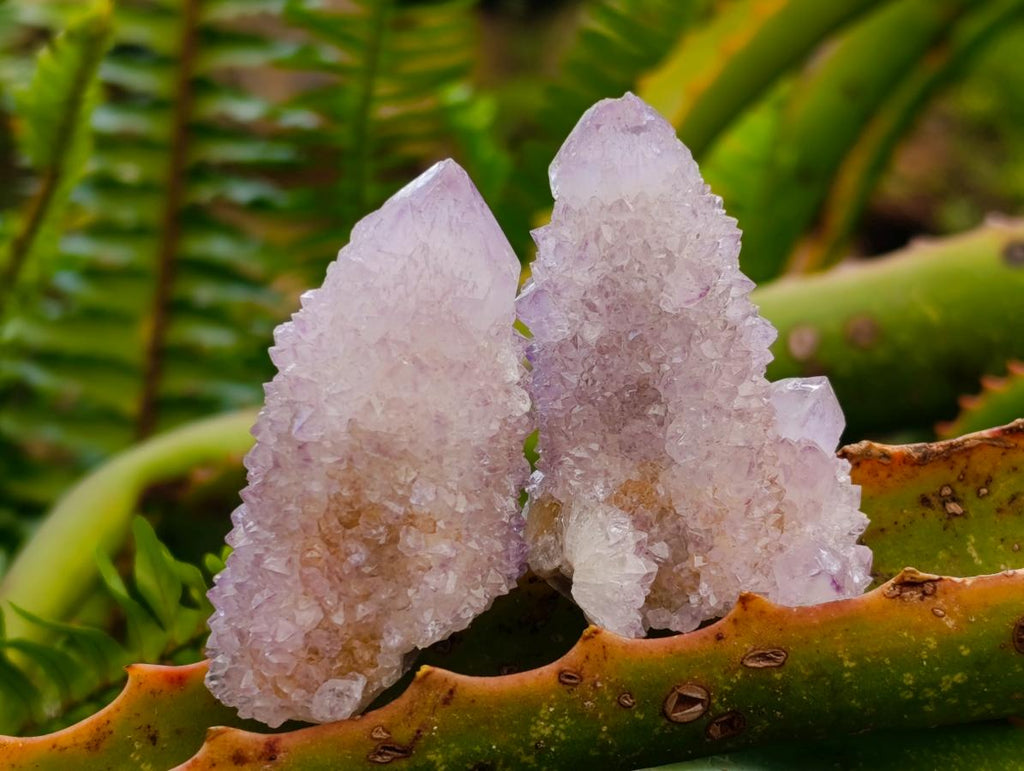 Natural Amethyst Spirit Crystals and Clusters x 24 From Boekenhouthoek, South Africa - Toprock Gemstones and Minerals 