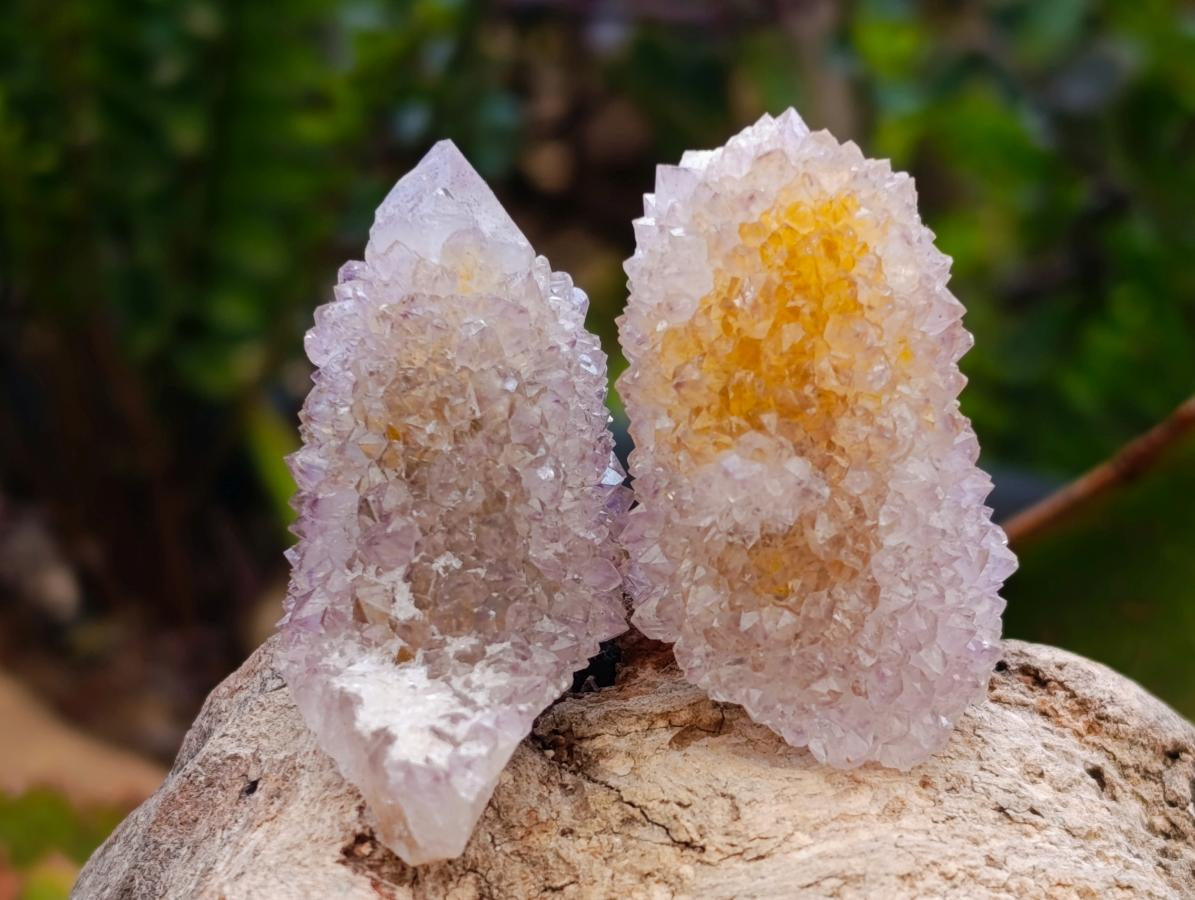 Natural Amethyst Spirit Crystals and Clusters x 24 From Boekenhouthoek, South Africa - Toprock Gemstones and Minerals 