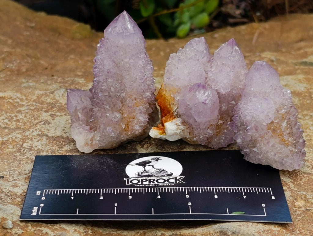 Natural Amethyst Spirit Crystals and Clusters x 24 From Boekenhouthoek, South Africa - Toprock Gemstones and Minerals 