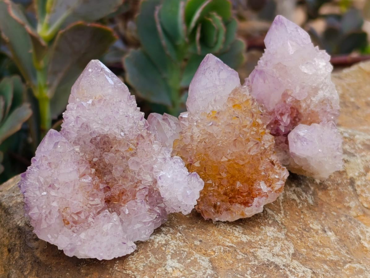 Natural Amethyst Spirit Crystals and Clusters x 24 From Boekenhouthoek, South Africa - Toprock Gemstones and Minerals 