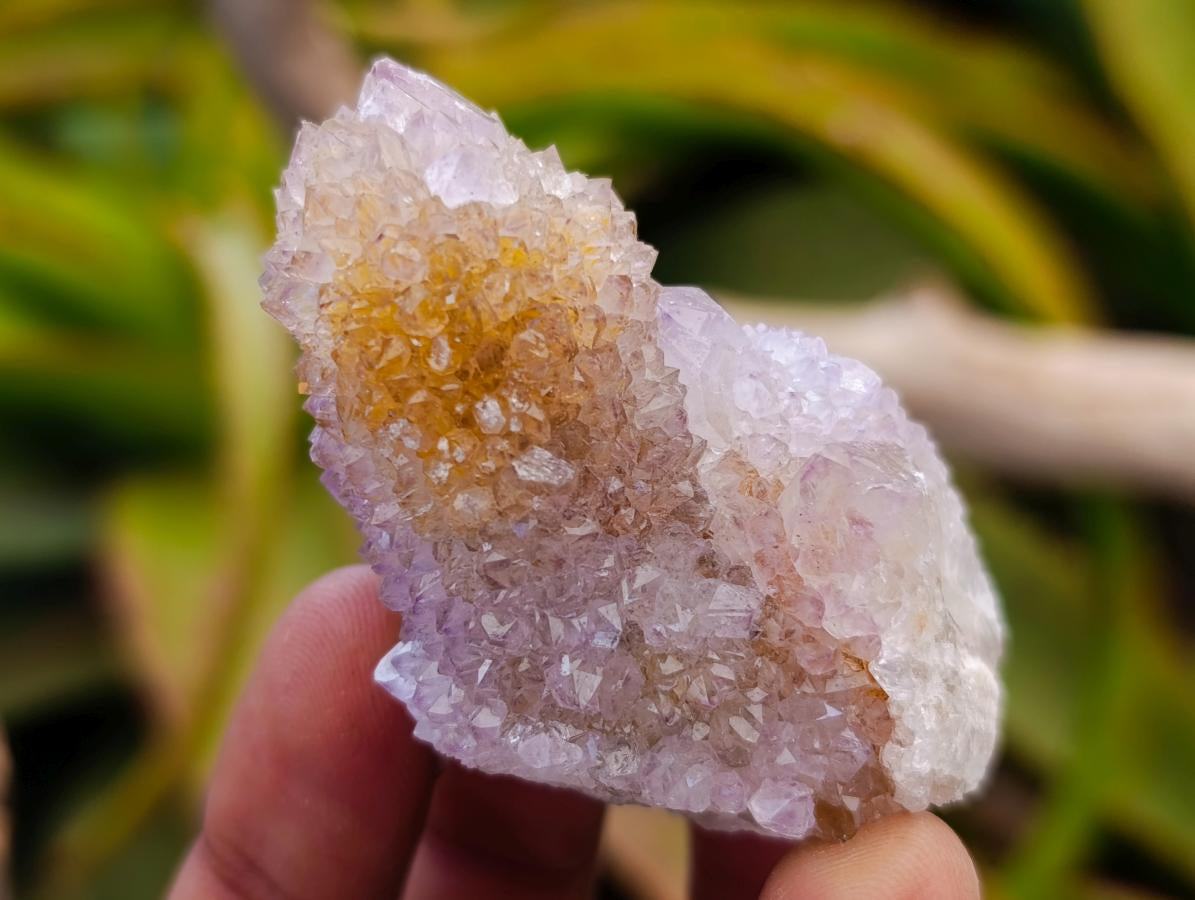 Natural Amethyst Spirit Crystals and Clusters x 24 From Boekenhouthoek, South Africa - Toprock Gemstones and Minerals 