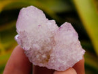 Natural Amethyst Spirit Crystals and Clusters x 24 From Boekenhouthoek, South Africa - Toprock Gemstones and Minerals 