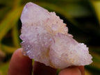 Natural Amethyst Spirit Crystals and Clusters x 24 From Boekenhouthoek, South Africa - Toprock Gemstones and Minerals 
