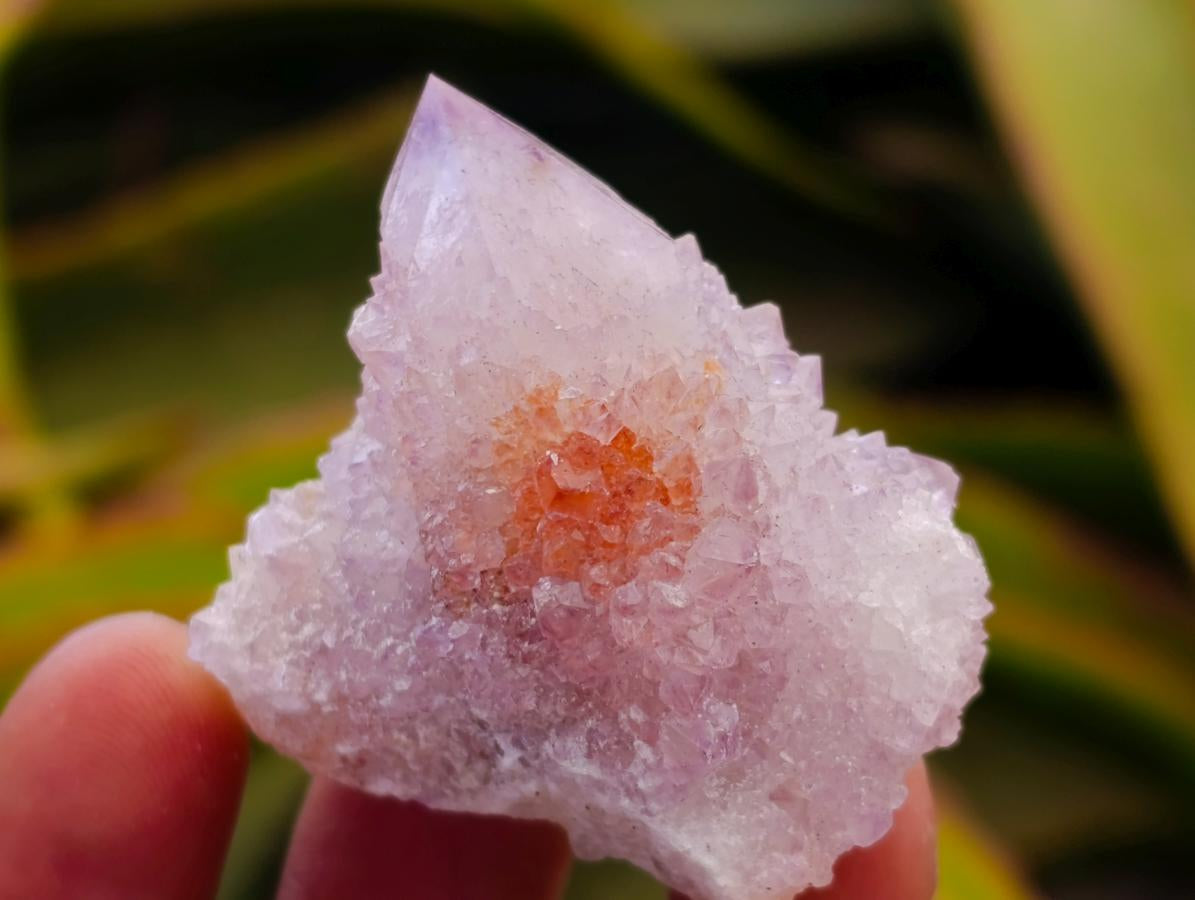Natural Amethyst Spirit Crystals and Clusters x 24 From Boekenhouthoek, South Africa - Toprock Gemstones and Minerals 