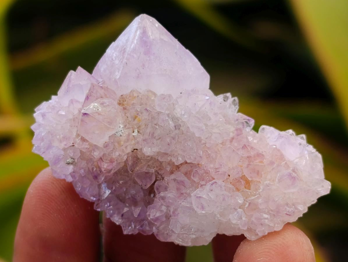 Natural Amethyst Spirit Crystals and Clusters x 24 From Boekenhouthoek, South Africa - Toprock Gemstones and Minerals 