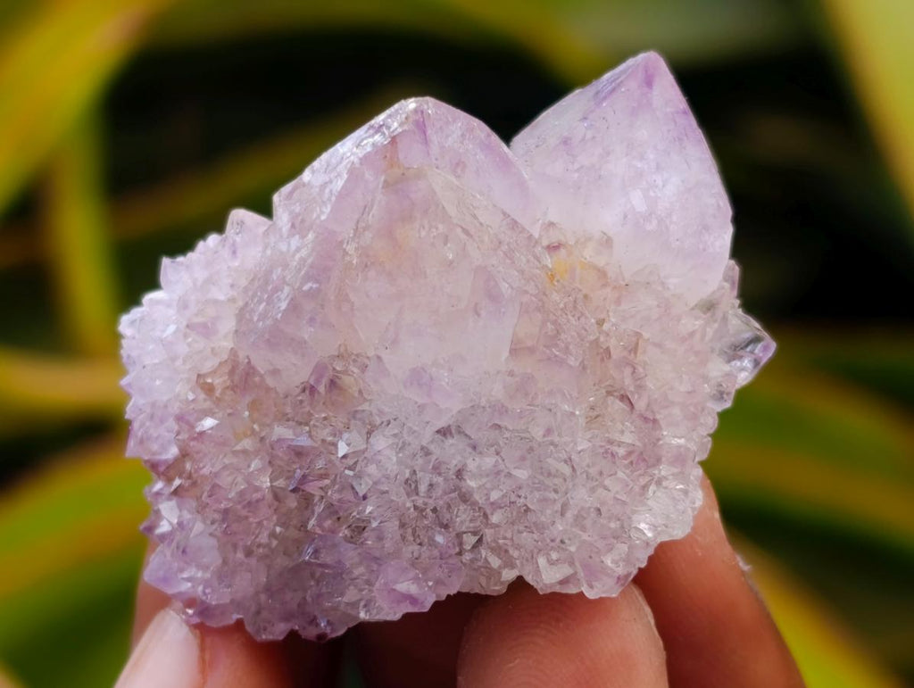 Natural Amethyst Spirit Crystals and Clusters x 24 From Boekenhouthoek, South Africa - Toprock Gemstones and Minerals 