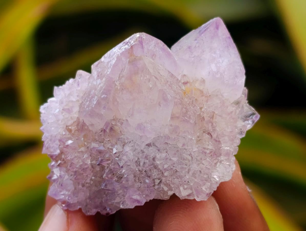 Natural Amethyst Spirit Crystals and Clusters x 24 From Boekenhouthoek, South Africa - Toprock Gemstones and Minerals 