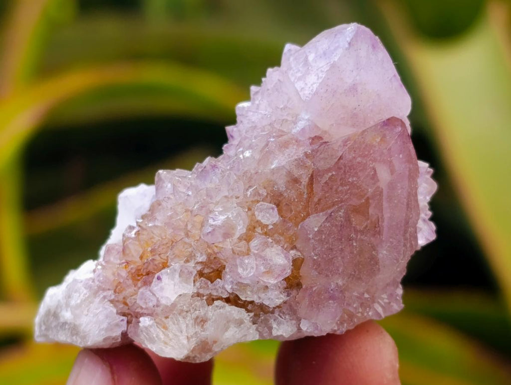 Natural Amethyst Spirit Crystals and Clusters x 24 From Boekenhouthoek, South Africa - Toprock Gemstones and Minerals 