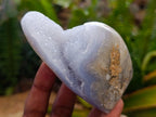 Polished Blue Lace Agate Mixed Free Forms x 6 From Nsanje, Malawi - Toprock Gemstones and Minerals 