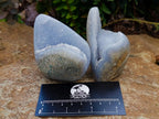 Polished Blue Lace Agate Mixed Free Forms x 6 From Nsanje, Malawi - Toprock Gemstones and Minerals 