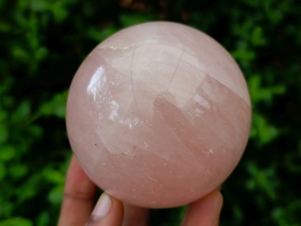 Polished Gemmy Star Rose Quartz Spheres x 4 From Madagascar