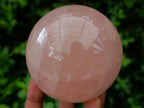 Polished Gemmy Star Rose Quartz Spheres x 4 From Madagascar