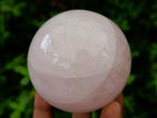 Polished Gemmy Star Rose Quartz Spheres x 4 From Madagascar