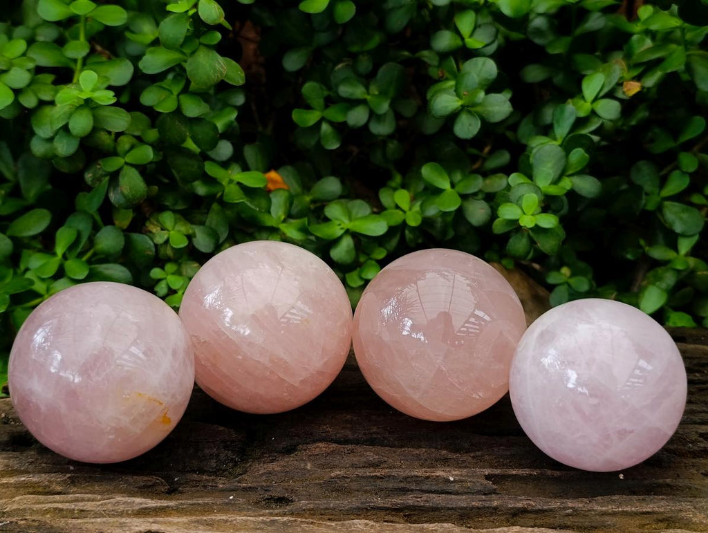 Polished Gemmy Star Rose Quartz Spheres x 4 From Madagascar