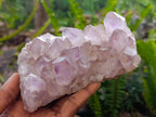 Natural Jacaranda Amethyst Clusters x 4 From Mumbwa, Zambia