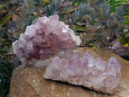 Natural Jacaranda Amethyst Clusters x 4 From Mumbwa, Zambia