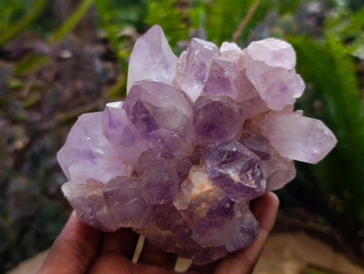 Natural Jacaranda Amethyst Clusters x 4 From Mumbwa, Zambia