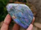 Polished Rare Purple Sunset Flash Labradorite Standing Free Forms x 8 From Madagascar