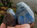 Polished Rare Purple Sunset Flash Labradorite Standing Free Forms x 8 From Madagascar