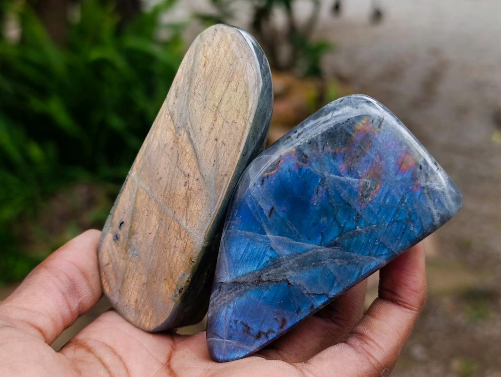Polished Rare Purple Sunset Flash Labradorite Standing Free Forms x 8 From Madagascar