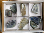 Polished Rare Purple Sunset Flash Labradorite Standing Free Forms x 8 From Madagascar