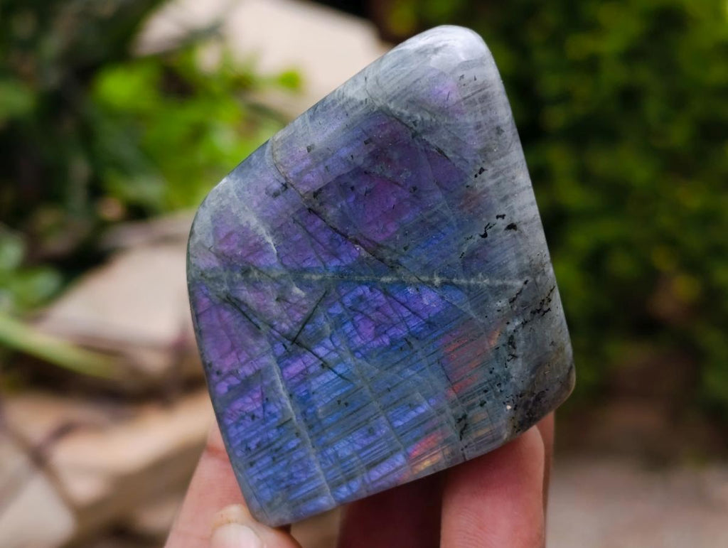 Polished Rare Purple Sunset Flash Labradorite Standing Free Forms x 8 From Madagascar