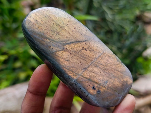 Polished Rare Purple Sunset Flash Labradorite Standing Free Forms x 8 From Madagascar