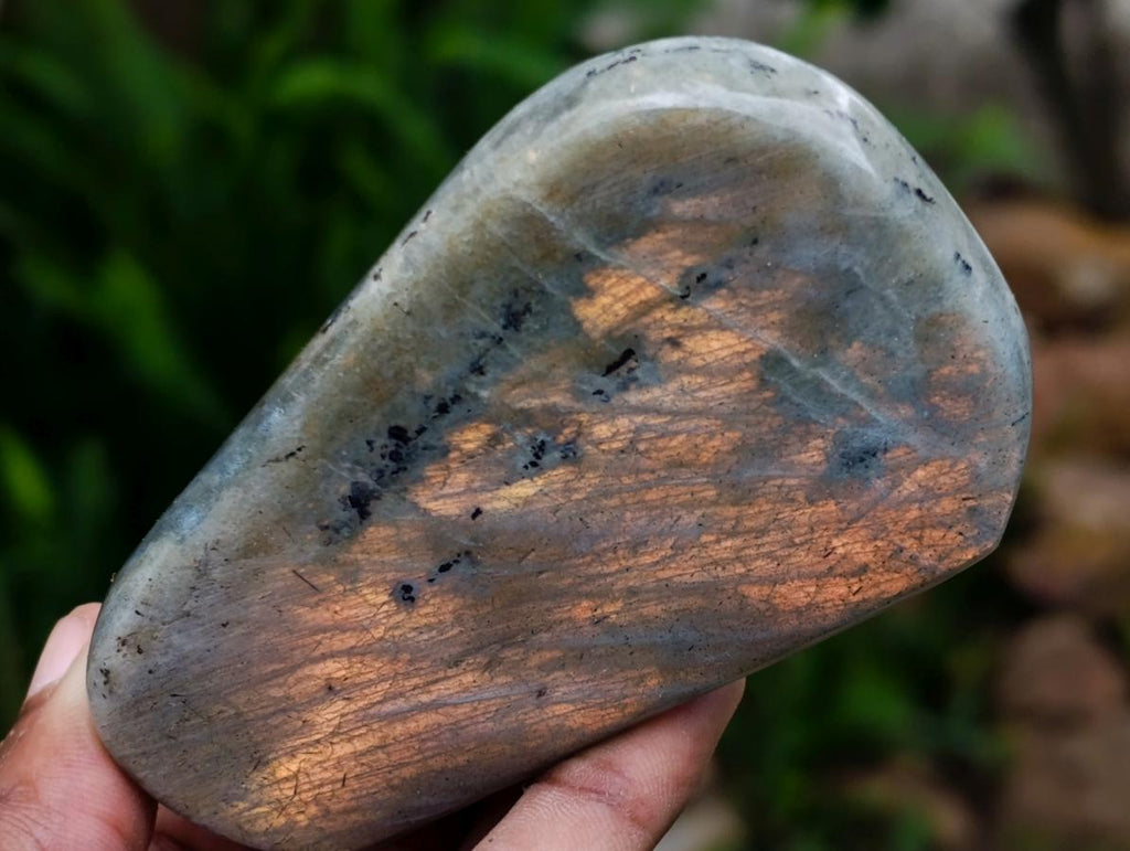 Polished Rare Purple Sunset Flash Labradorite Standing Free Forms x 8 From Madagascar