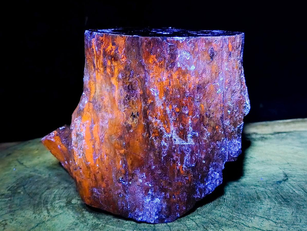 Polished On One Side XL Dadoxylon Petrified Wood Tree Trunk x 1 From Gokwe, Zimbabwe