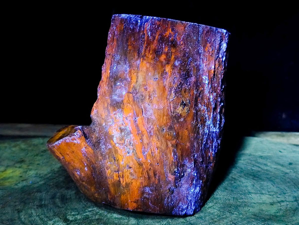 Polished On One Side XL Dadoxylon Petrified Wood Tree Trunk x 1 From Gokwe, Zimbabwe