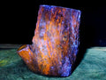 Polished On One Side XL Dadoxylon Petrified Wood Tree Trunk x 1 From Gokwe, Zimbabwe