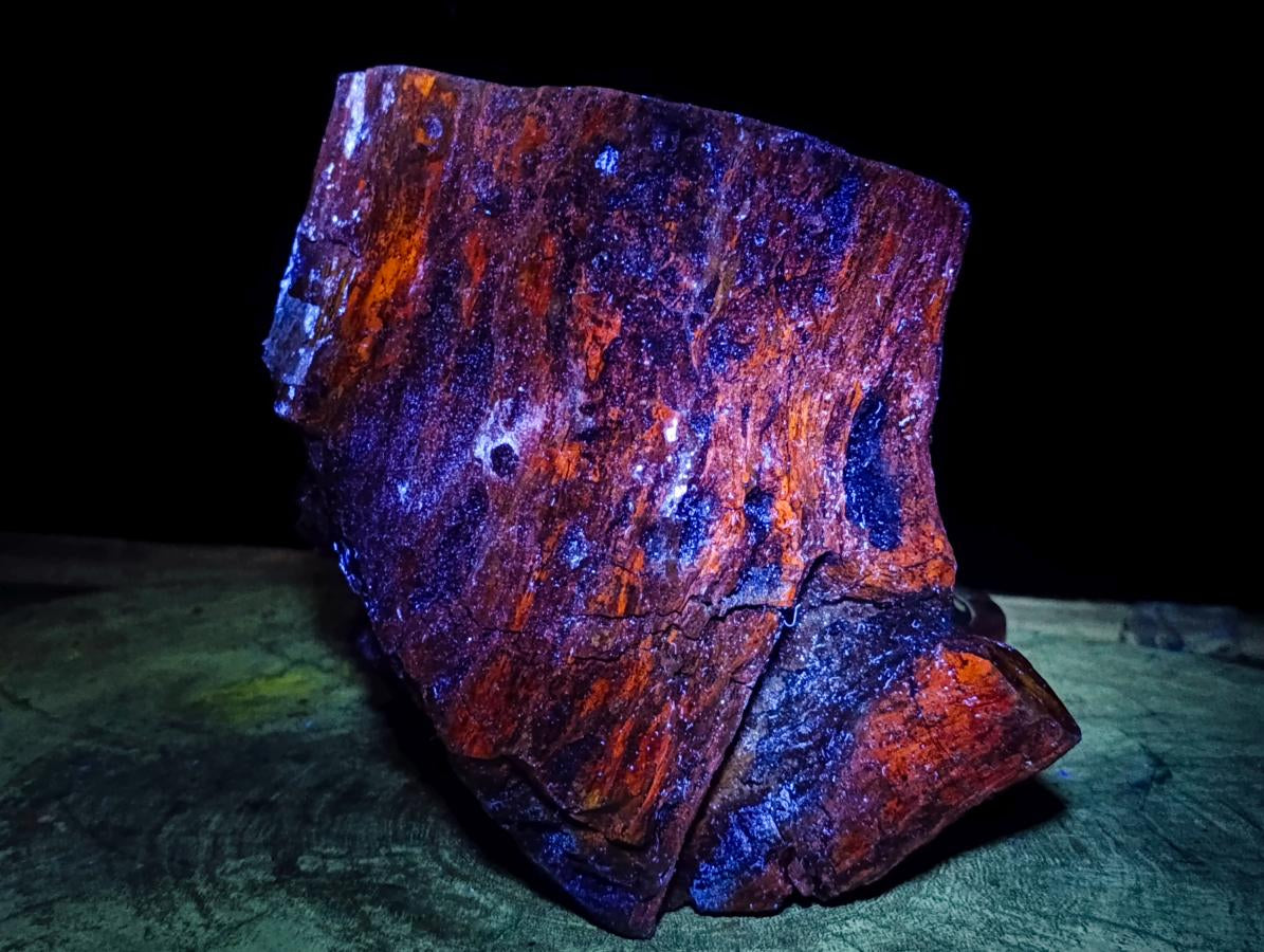 Polished On One Side XL Dadoxylon Petrified Wood Tree Trunk x 1 From Gokwe, Zimbabwe