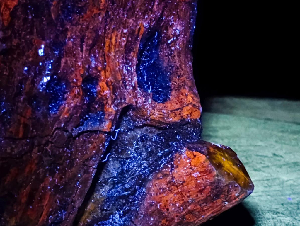 Polished On One Side XL Dadoxylon Petrified Wood Tree Trunk x 1 From Gokwe, Zimbabwe