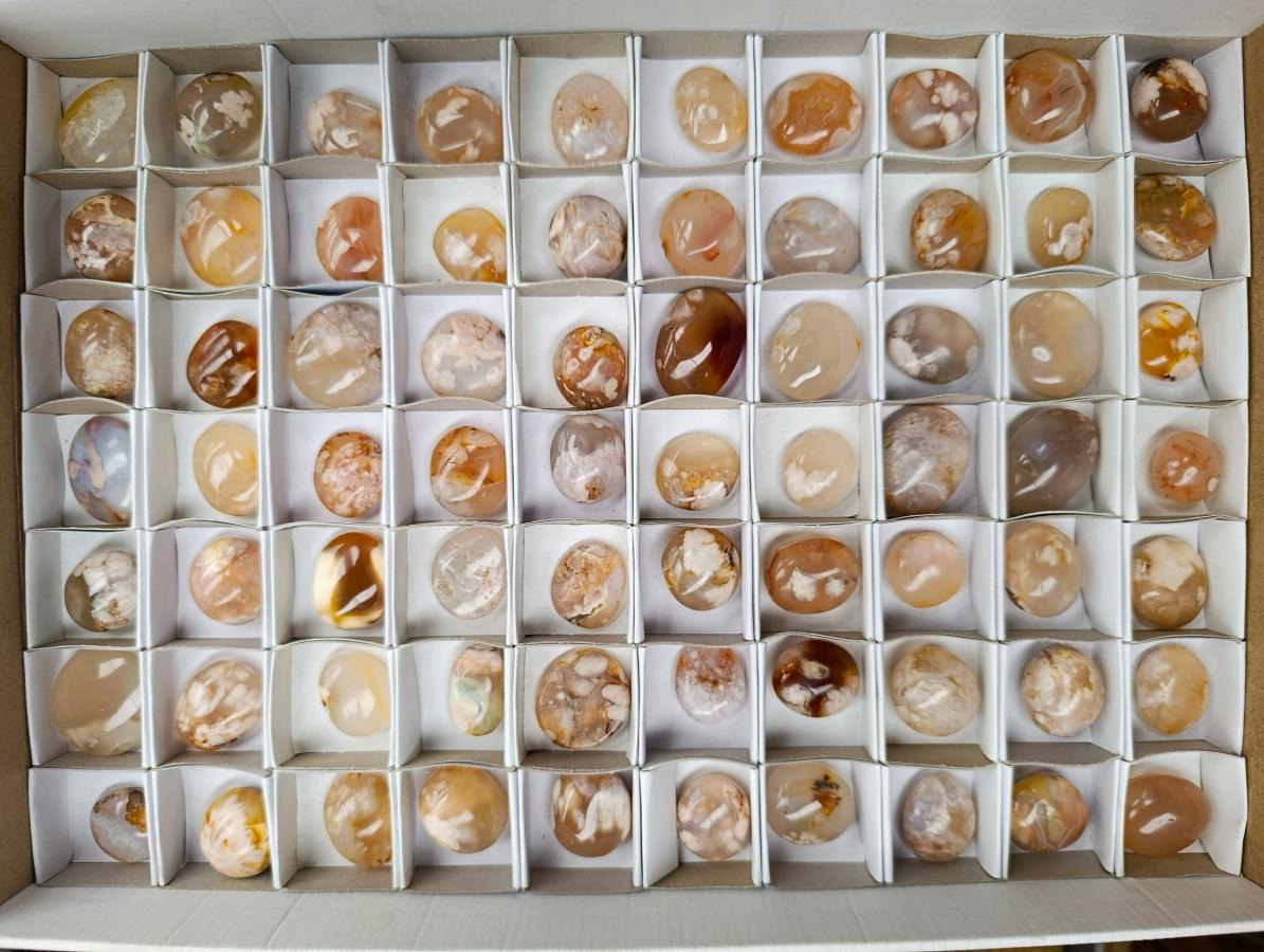 Polished Flower Agate Cabochons x 70 From Antsahalova, Madagascar - Toprock Gemstones and Minerals 