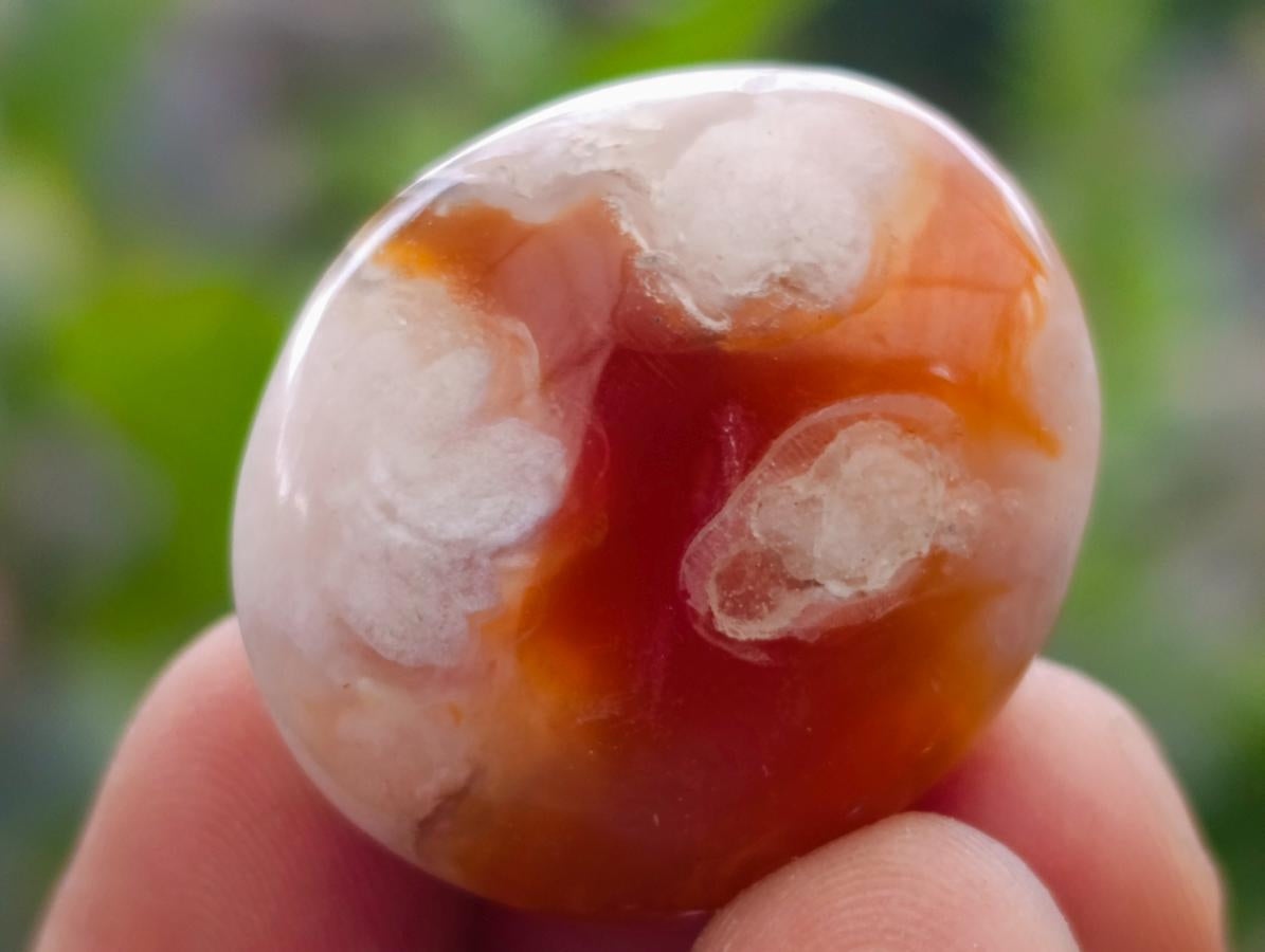 Polished Flower Agate Cabochons x 70 From Antsahalova, Madagascar - Toprock Gemstones and Minerals 