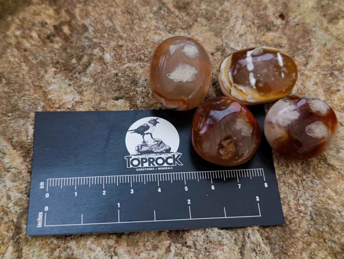 Polished Flower Agate Cabochons x 70 From Antsahalova, Madagascar - Toprock Gemstones and Minerals 