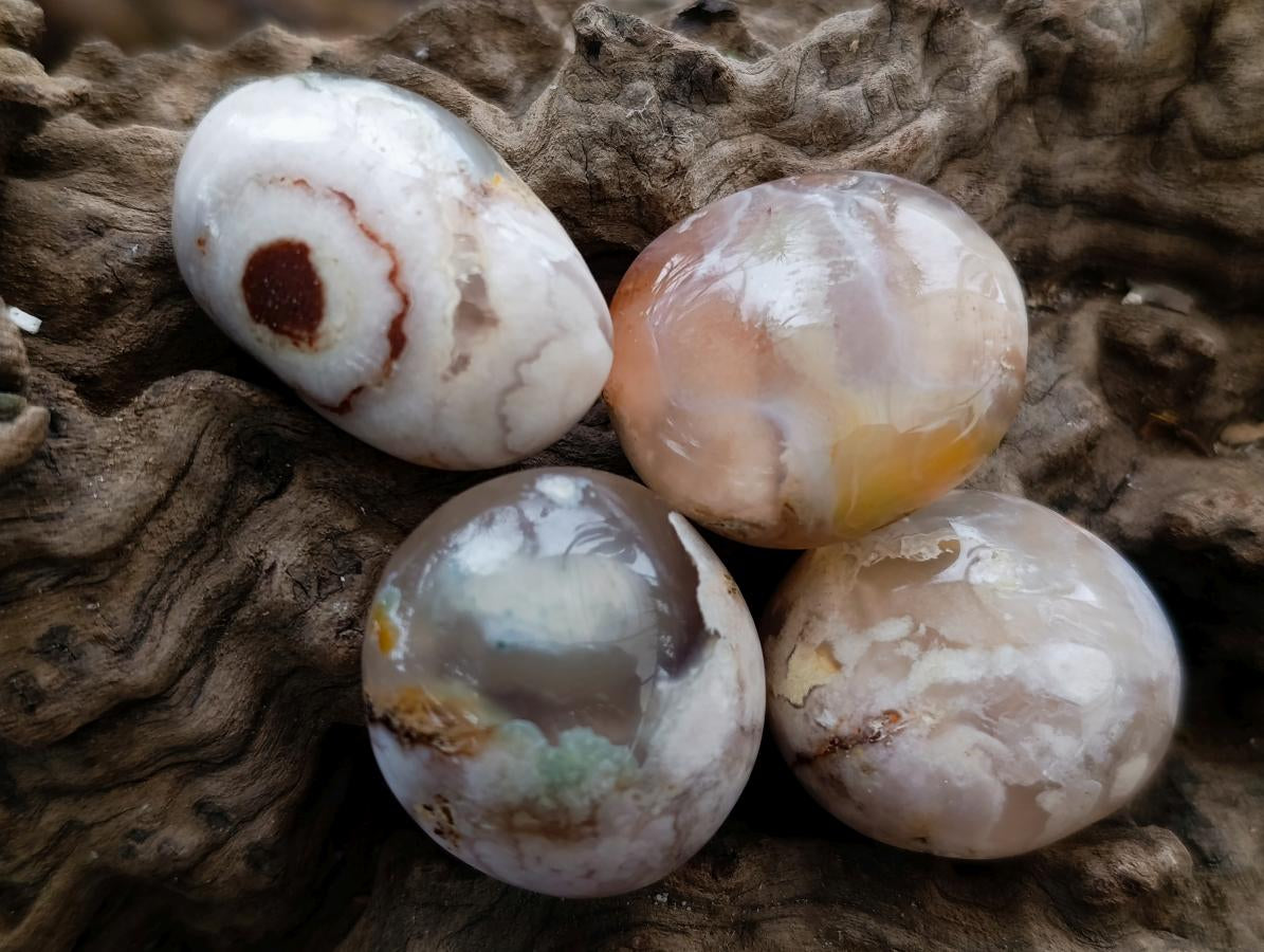 Polished Flower Agate Cabochons x 70 From Antsahalova, Madagascar - Toprock Gemstones and Minerals 