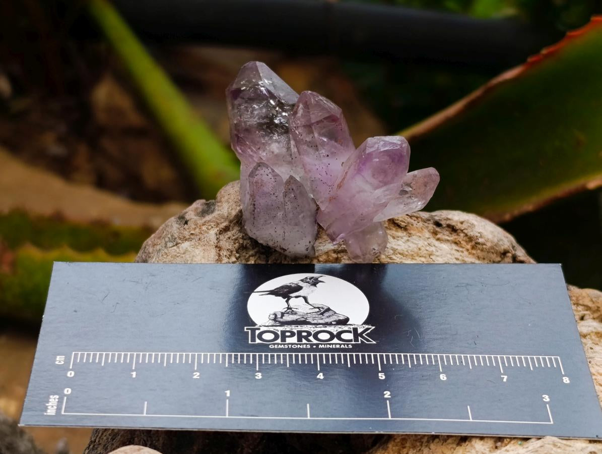 Natural Smokey Chiredzi Amethyst Single Jewellery Crystals x 70 From Chiredzi, Zimbabwe - Toprock Gemstones and Minerals 