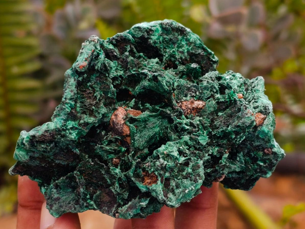 Natural Silky Malachite Specimens x 6 From Kasompe, Congo