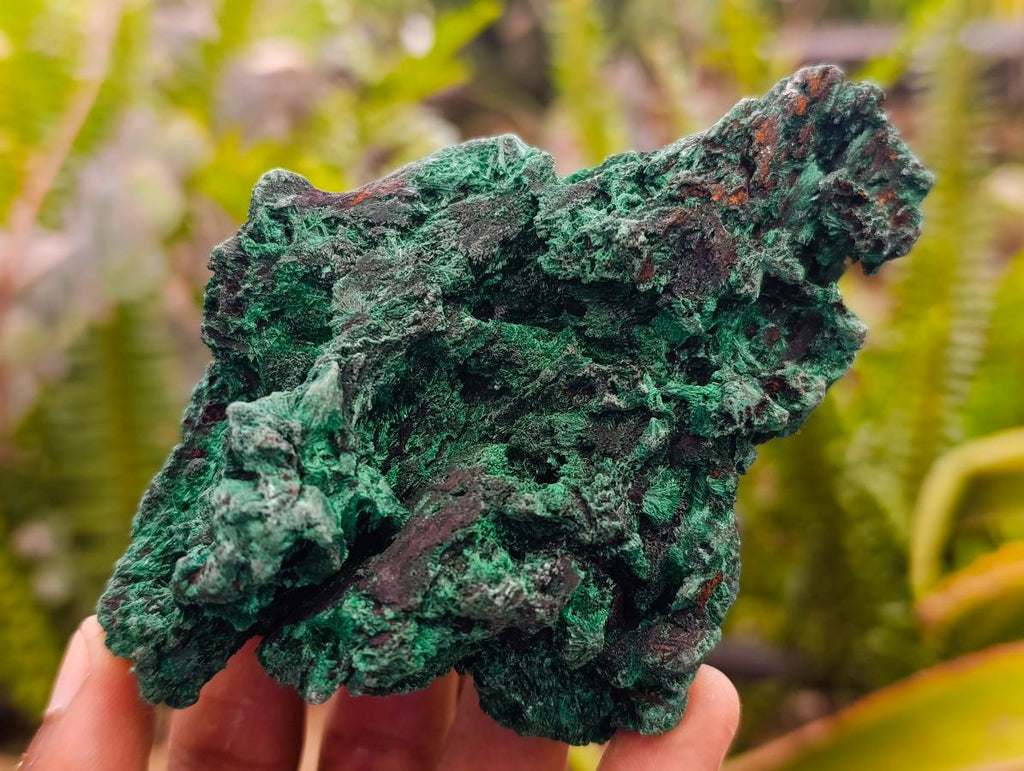 Natural Silky Malachite Specimens x 6 From Kasompe, Congo