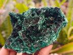 Natural Silky Malachite Specimens x 6 From Kasompe, Congo