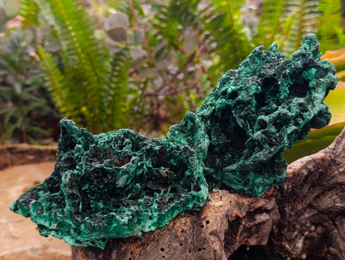 Natural Silky Malachite Specimens x 6 From Kasompe, Congo