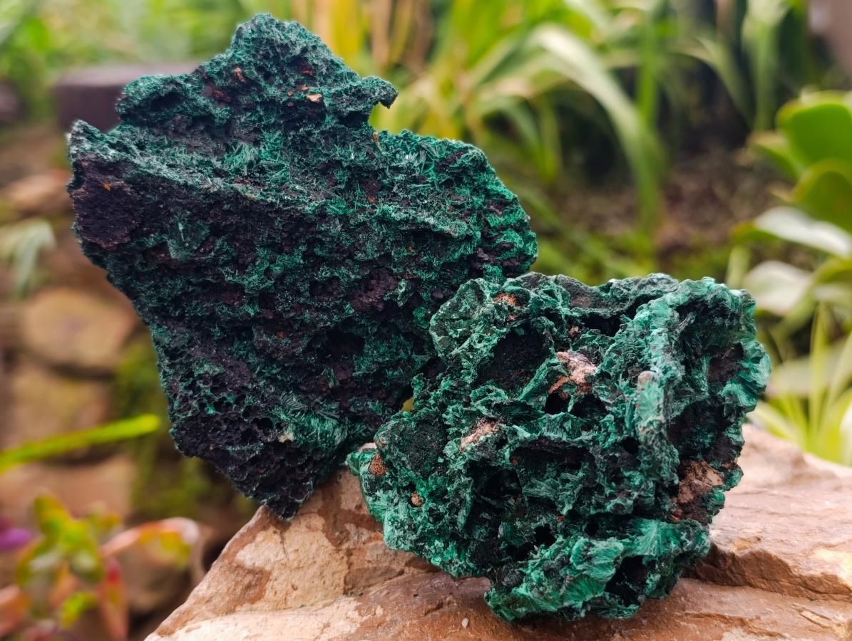 Natural Silky Malachite Specimens x 6 From Kasompe, Congo